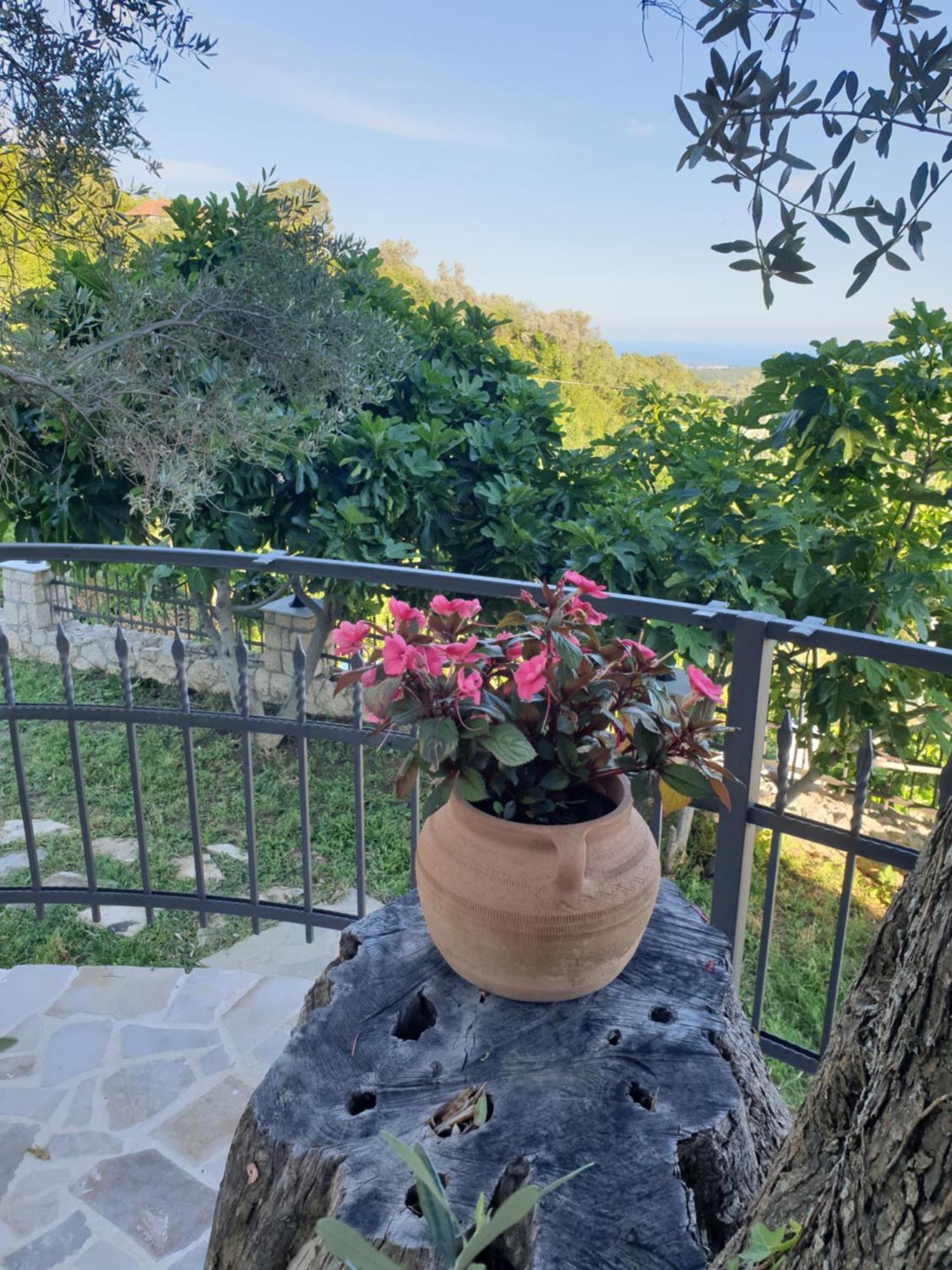 Rustic Villas Barlovic Ulcinj Exteriör bild